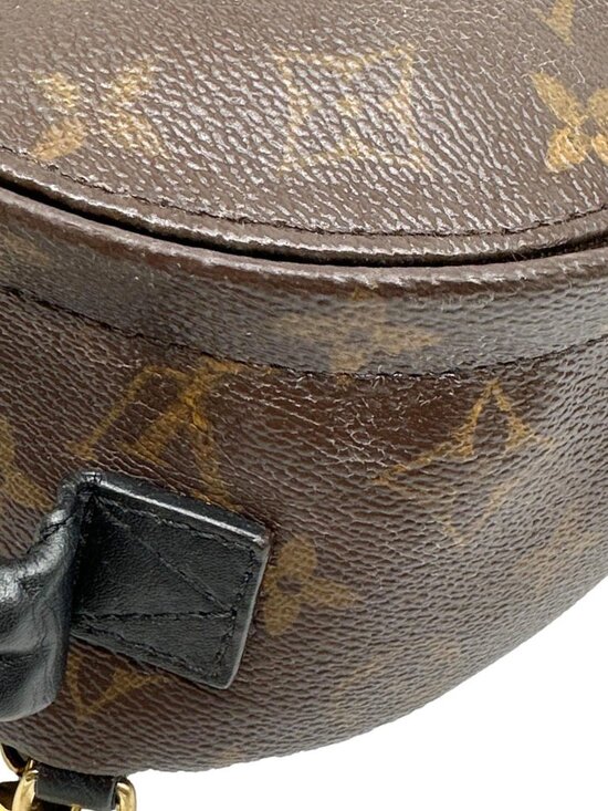 Louis Vuitton Palm Spring Mini Monogram Canvas Backpack Brown main image 13